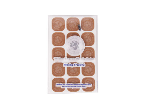 더블 이온 매직 포인트