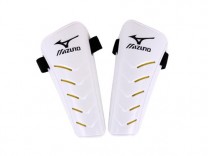 미즈노 가드 스테이(2001)