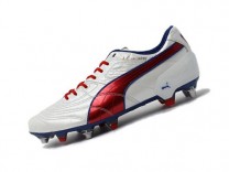 푸마 파라멕시코 13 MIX SG JP(103204-01)